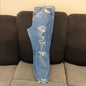 American Eagle Outfitters Light Blue Distressed Skinny Jeans